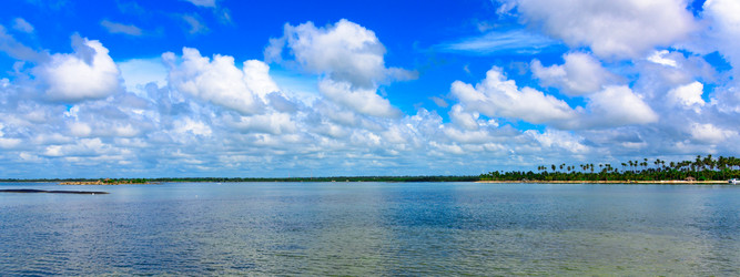 Similar image 18844969