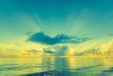 Similar image 18845017