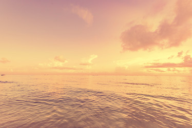 Similar image 18845038