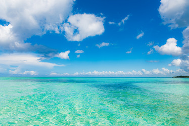 Similar image 18845039