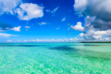 Similar image 18845057