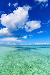 Similar image 18845059