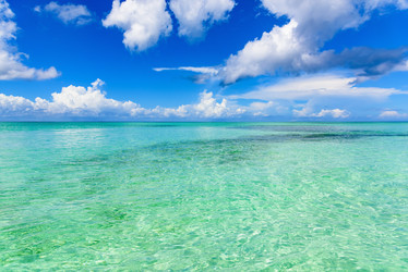 Similar image 18845078