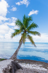 Similar image 18574041