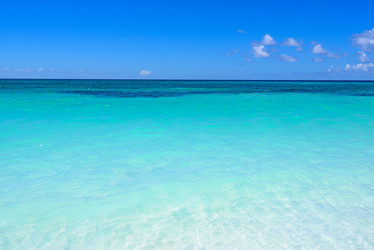 Similar image 18573935