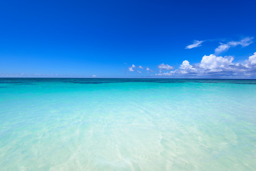 Similar image 18573984