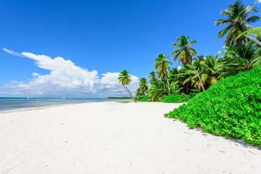 Similar image 18574124