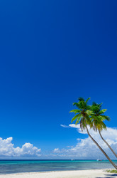 Similar image 18574118