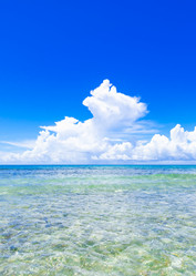 Similar image 18574125