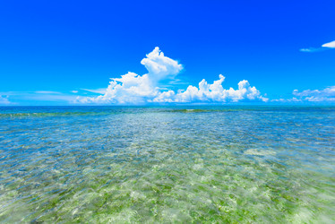 Similar image 18574232