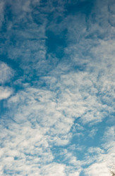 Similar image 18574259