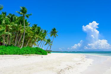 Similar image 18574310