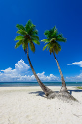 Similar image 18574186