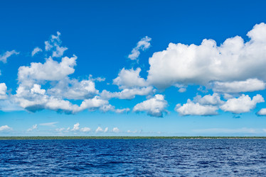 Similar image 18574975