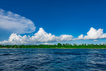 Similar image 18844453