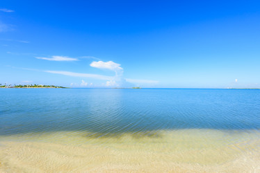 Similar image 18844497