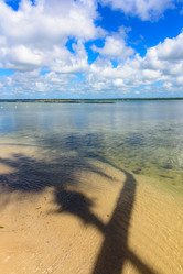 Similar image 18844512