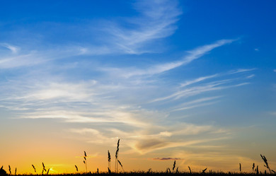 Similar image 18844530