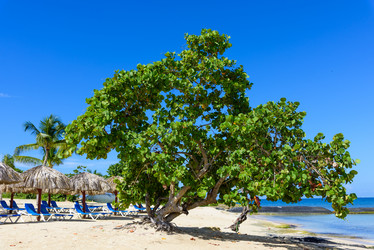 Similar image 18844531