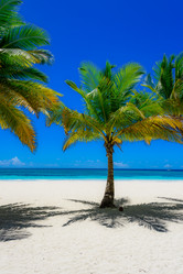 Similar image 18844631