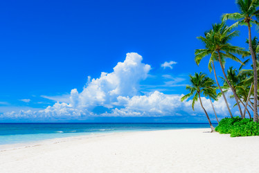 Similar image 18844634