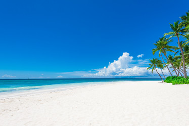 Similar image 18844648