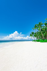 Similar image 18844650