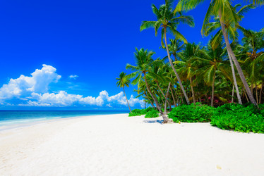 Similar image 18844651