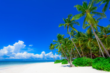 Similar image 18844666