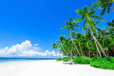 Similar image 18844668