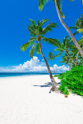 Similar image 18844669