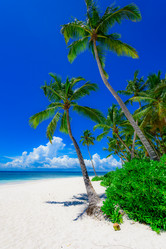 Similar image 18844671