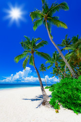 Similar image 18844679