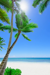 Similar image 18844680