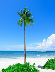 Similar image 18844686