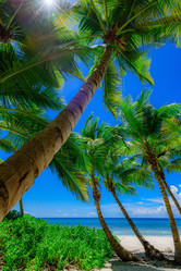 Similar image 18844696