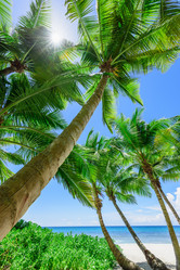 Similar image 18844705