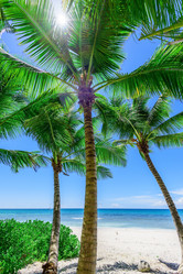 Similar image 18844711