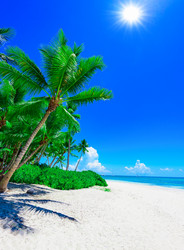 Similar image 18844710