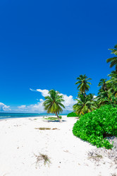 Similar image 18844724