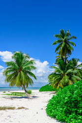 Similar image 18844733