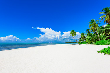 Similar image 18844746