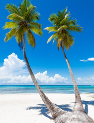 Similar image 18844777