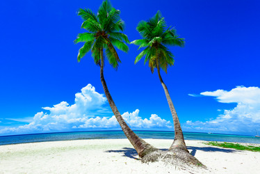 Similar image 18844793