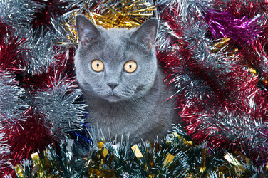 Similar image 18844537