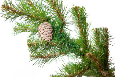 Similar image 18844538