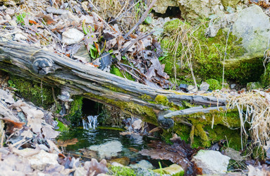 Similar image 18844695