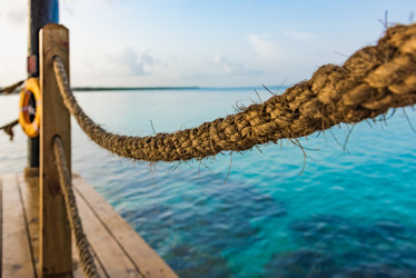 Similar image 18844800