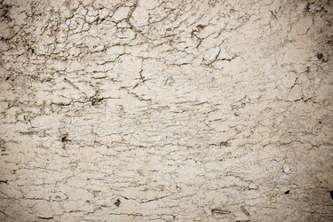 Similar image 18512072