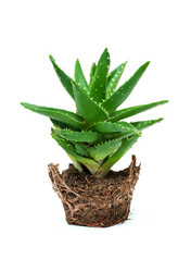 Similar image 18509843